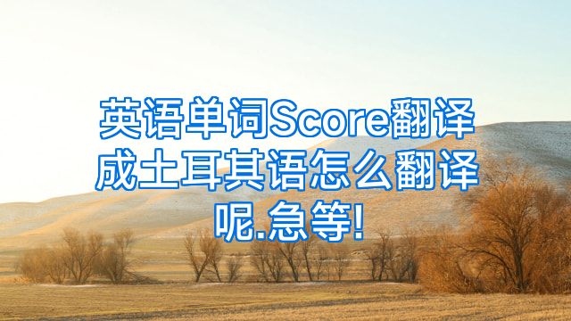 英语单词Score翻译成土耳其语怎么翻译呢.急等!