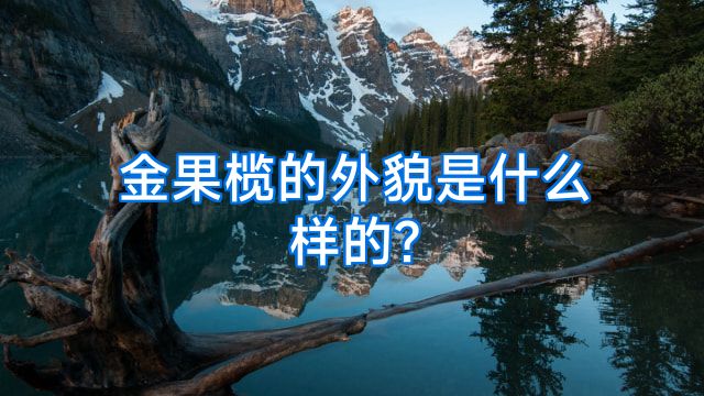金果榄的外貌是什么样的?