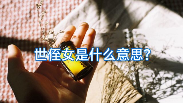 世侄女是什么意思?