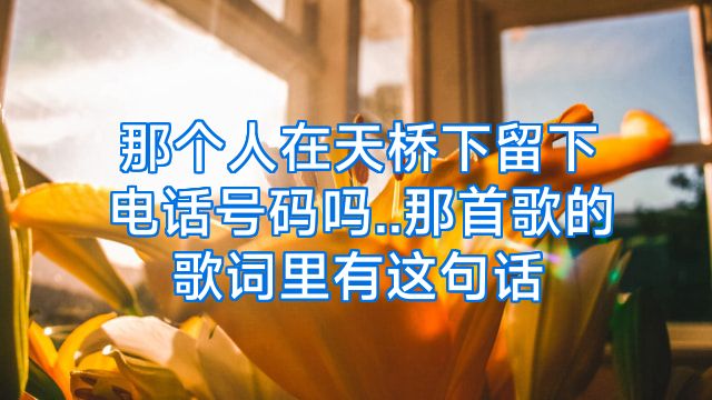 那个人在天桥下留下电话号码吗..那首歌的歌词里有这句话