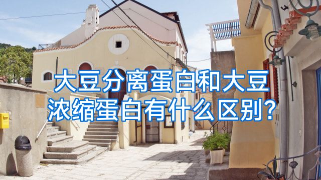 大豆分离蛋白和大豆浓缩蛋白有什么区别?
