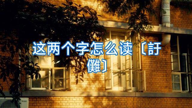 这两个字怎么读〔訏儺〕