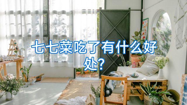 七七菜吃了有什么好处?