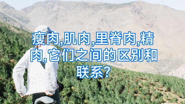 瘦肉,肌肉,里脊肉,精肉,它们之间的区别和联系?