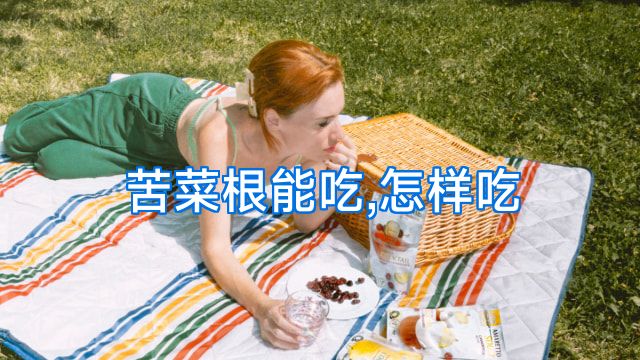 苦菜根能吃,怎样吃