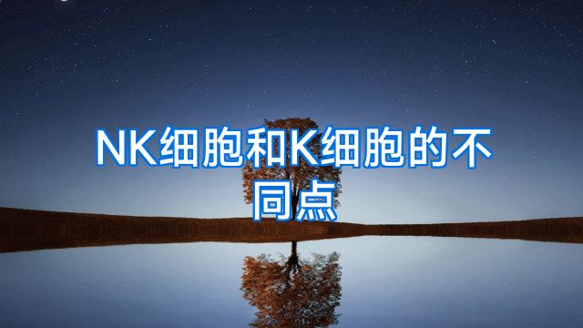 NK细胞和K细胞的不同点