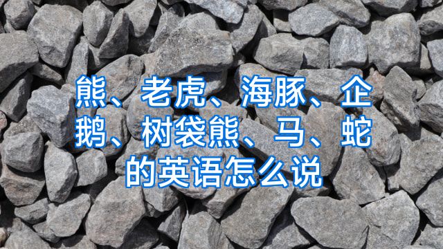 熊、老虎、海豚、企鹅、树袋熊、马、蛇的英语怎么说