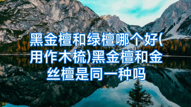 黑金檀和绿檀哪个好(用作木梳)黑金檀和金丝檀是同一种吗