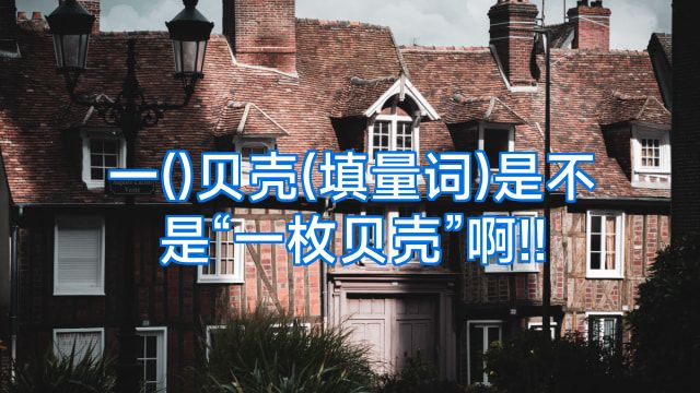 一()贝壳(填量词)是不是“一枚贝壳”啊!!