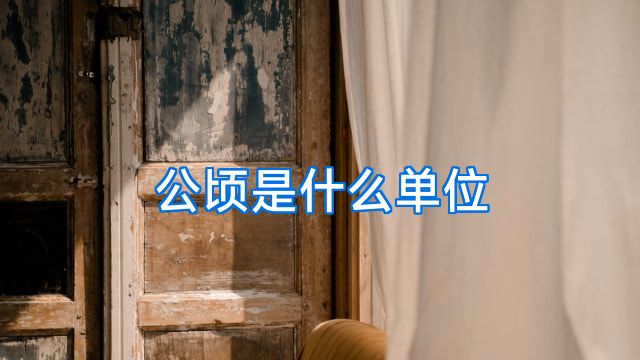 公顷是什么单位