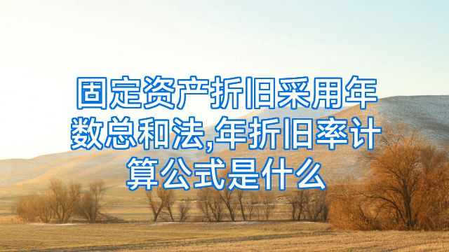 固定资产折旧采用年数总和法,年折旧率计算公式是什么