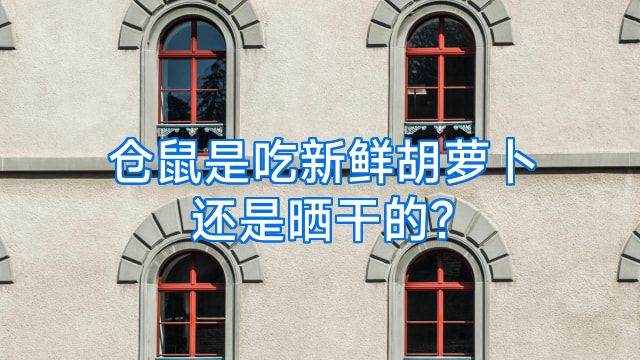 仓鼠是吃新鲜胡萝卜还是晒干的?