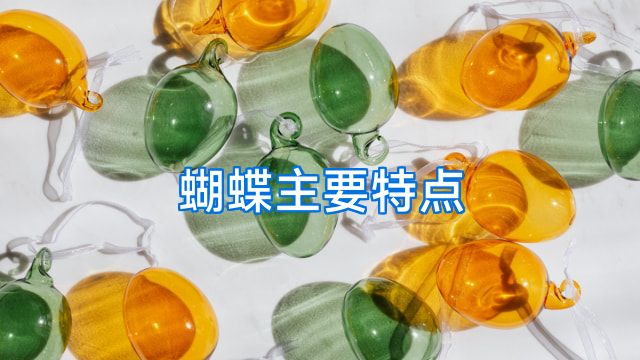 蝴蝶主要特点