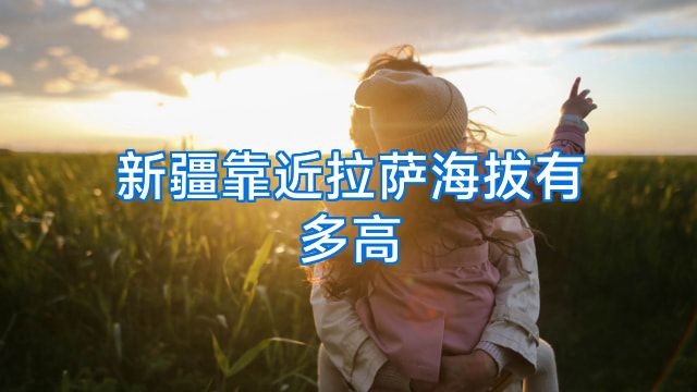 新疆靠近拉萨海拔有多高