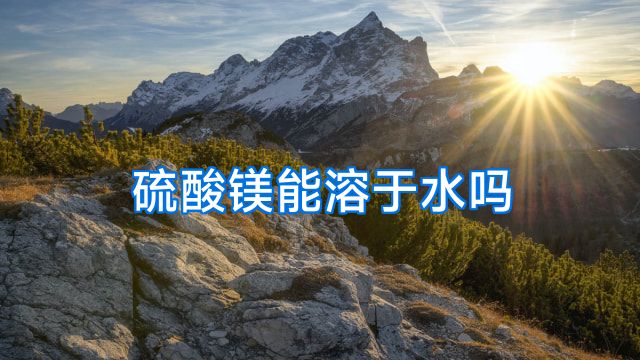 硫酸镁能溶于水吗