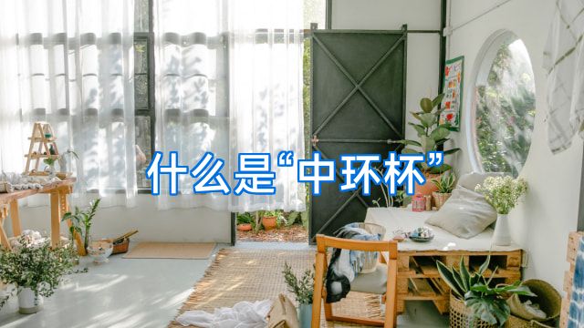 什么是“中环杯”