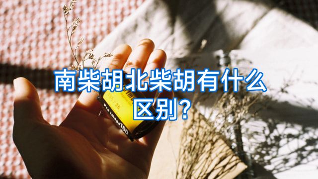 南柴胡北柴胡有什么区别?