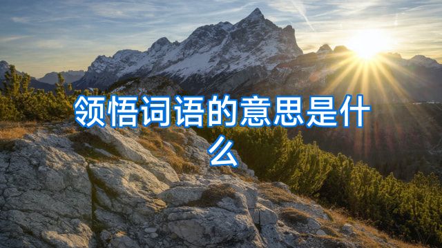 领悟词语的意思是什么