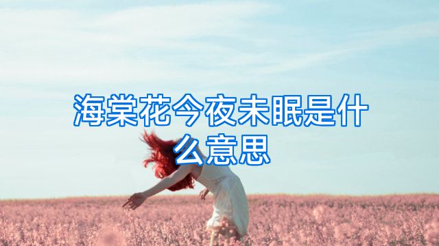 海棠花今夜未眠是什么意思