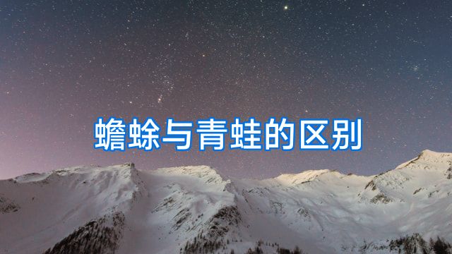 蟾蜍与青蛙的区别
