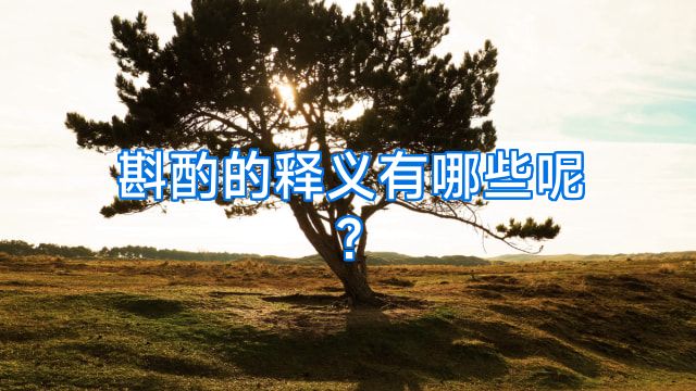 斟酌的释义有哪些呢?