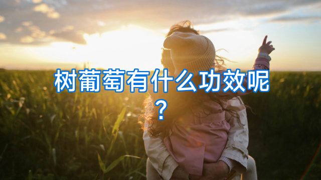 树葡萄有什么功效呢?