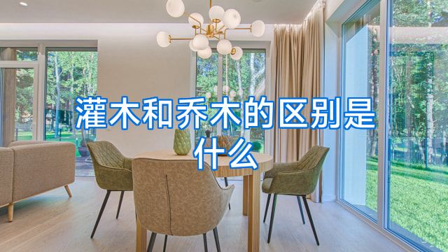 灌木和乔木的区别是什么