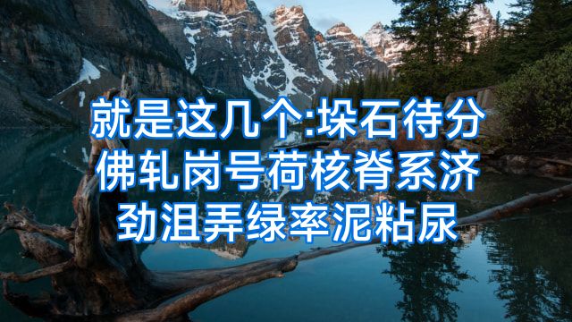 就是这几个:垛石待分佛轧岗号荷核脊系济劲沮弄绿率泥粘尿