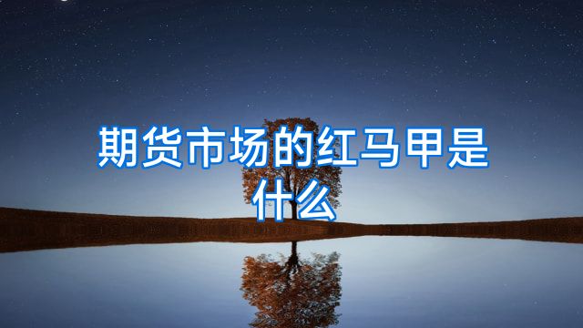 期货市场的红马甲是什么