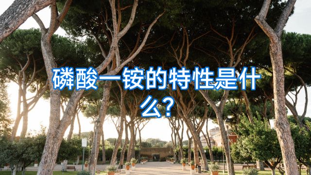 磷酸一铵的特性是什么?