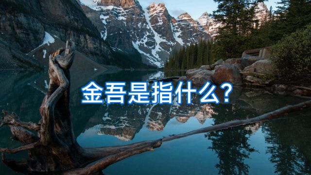 金吾是指什么?