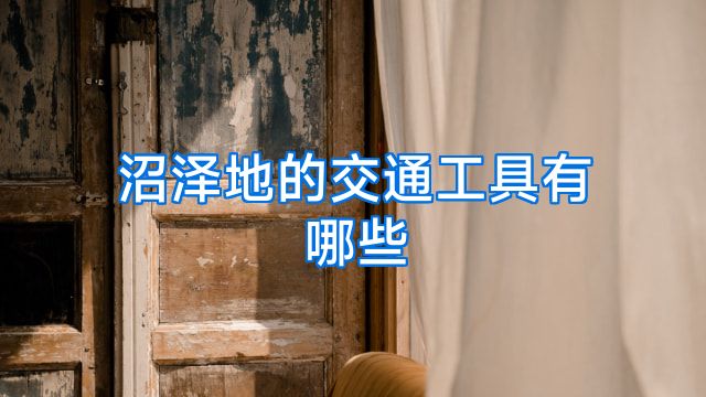 沼泽地的交通工具有哪些