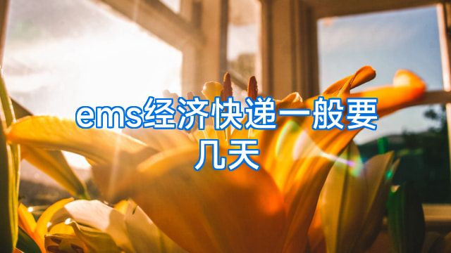 ems经济快递一般要几天