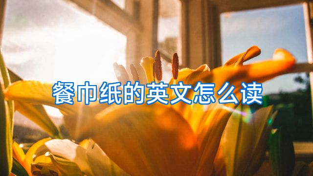 餐巾纸的英文怎么读