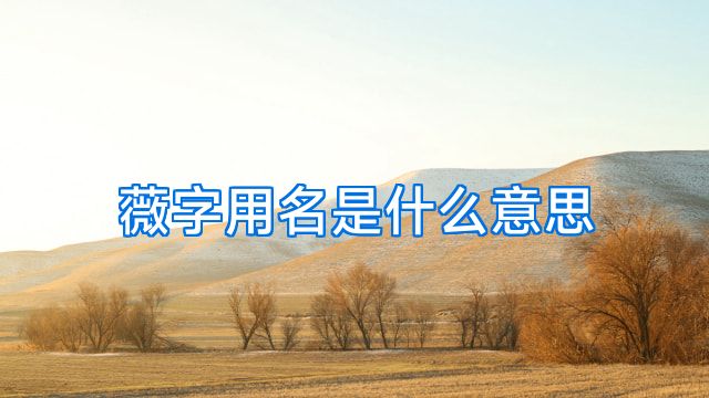 薇字用名是什么意思