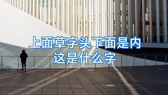 上面草字头下面是内这是什么字