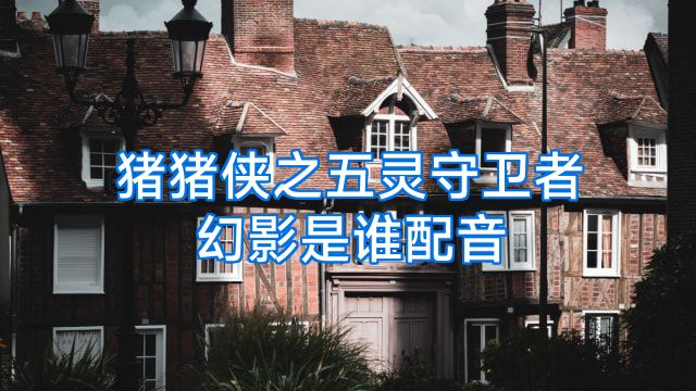 猪猪侠之五灵守卫者幻影是谁配音
