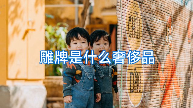 雕牌是什么奢侈品