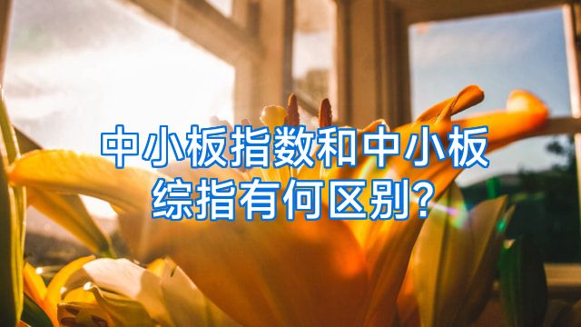 中小板指数和中小板综指有何区别?
