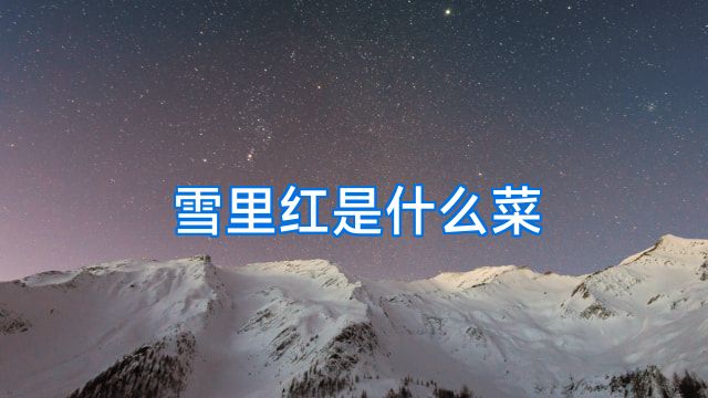 雪里红是什么菜