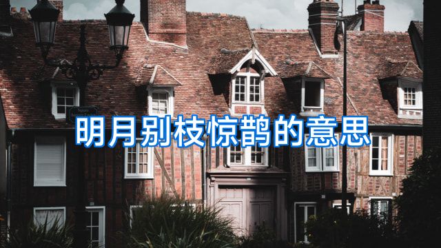 明月别枝惊鹊的意思