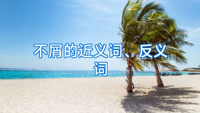 不屑的近义词、反义词