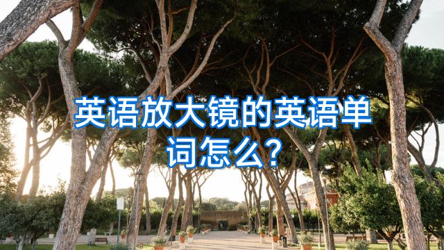 英语放大镜的英语单词怎么?