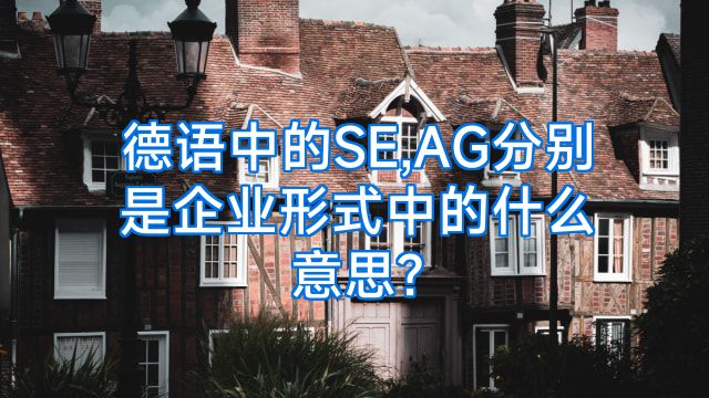 德语中的SE,AG分别是企业形式中的什么意思?