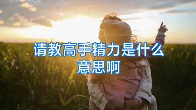 请教高手精力是什么意思啊