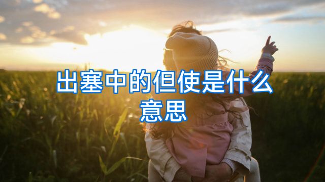 出塞中的但使是什么意思