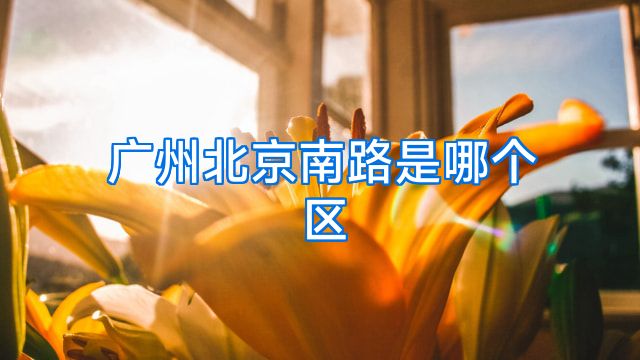 广州北京南路是哪个区