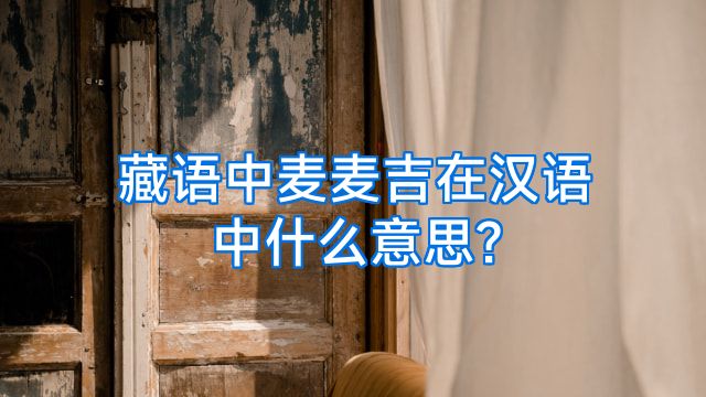 藏语中麦麦吉在汉语中什么意思?
