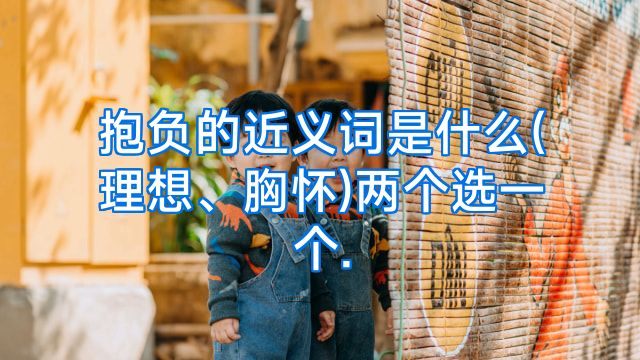 抱负的近义词是什么(理想、胸怀)两个选一个.