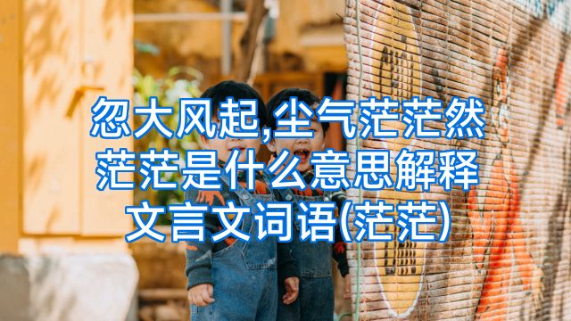 忽大风起,尘气茫茫然茫茫是什么意思解释文言文词语(茫茫)